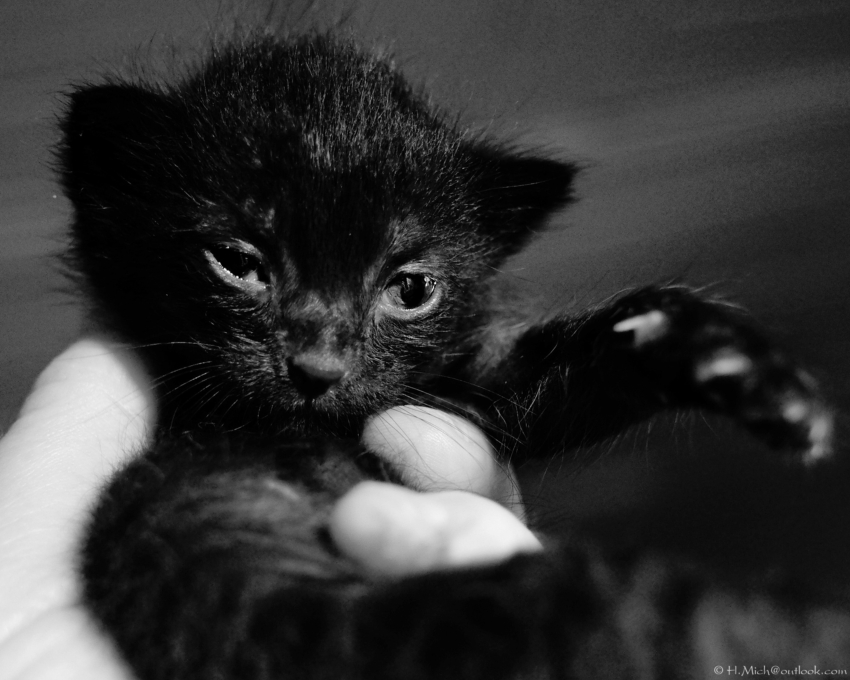 Studio-One.Art.br Repo Fotografia em Rio Preto SP/Brasil