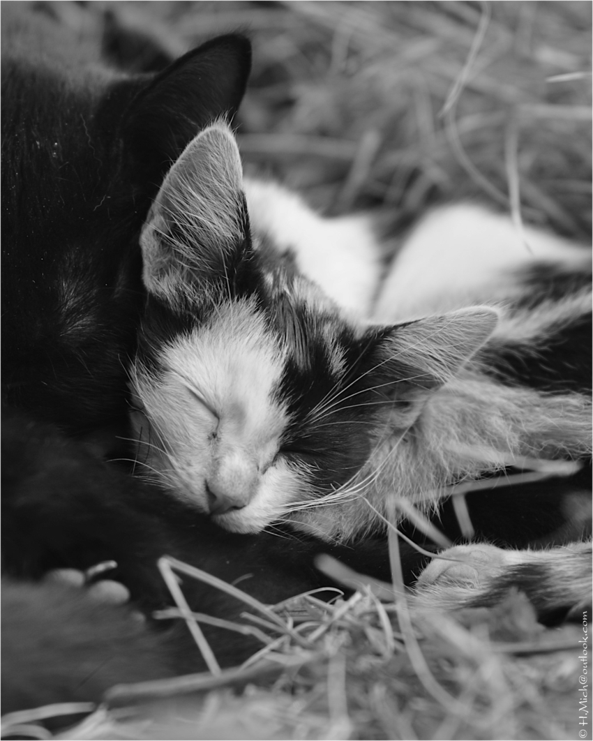 Studio-One.Art.br Repo Fotografia em Rio Preto SP/Brasil