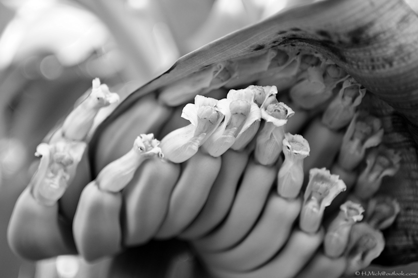 Studio-One.Art.br Repo Fotografia em Rio Preto SP/Brasil