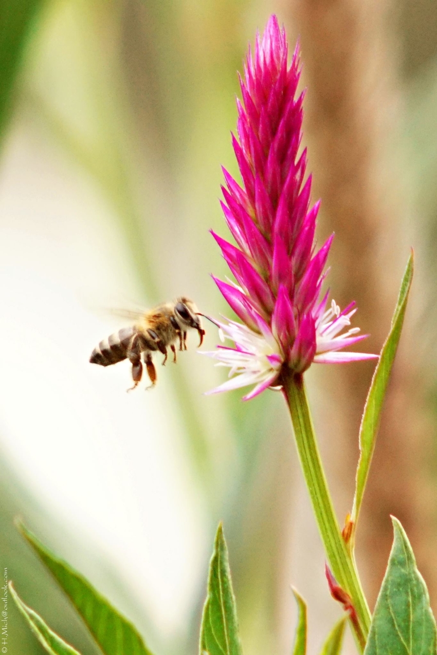 Studio-One.Art.br Repo Fotografia em Rio Preto SP/Brasil