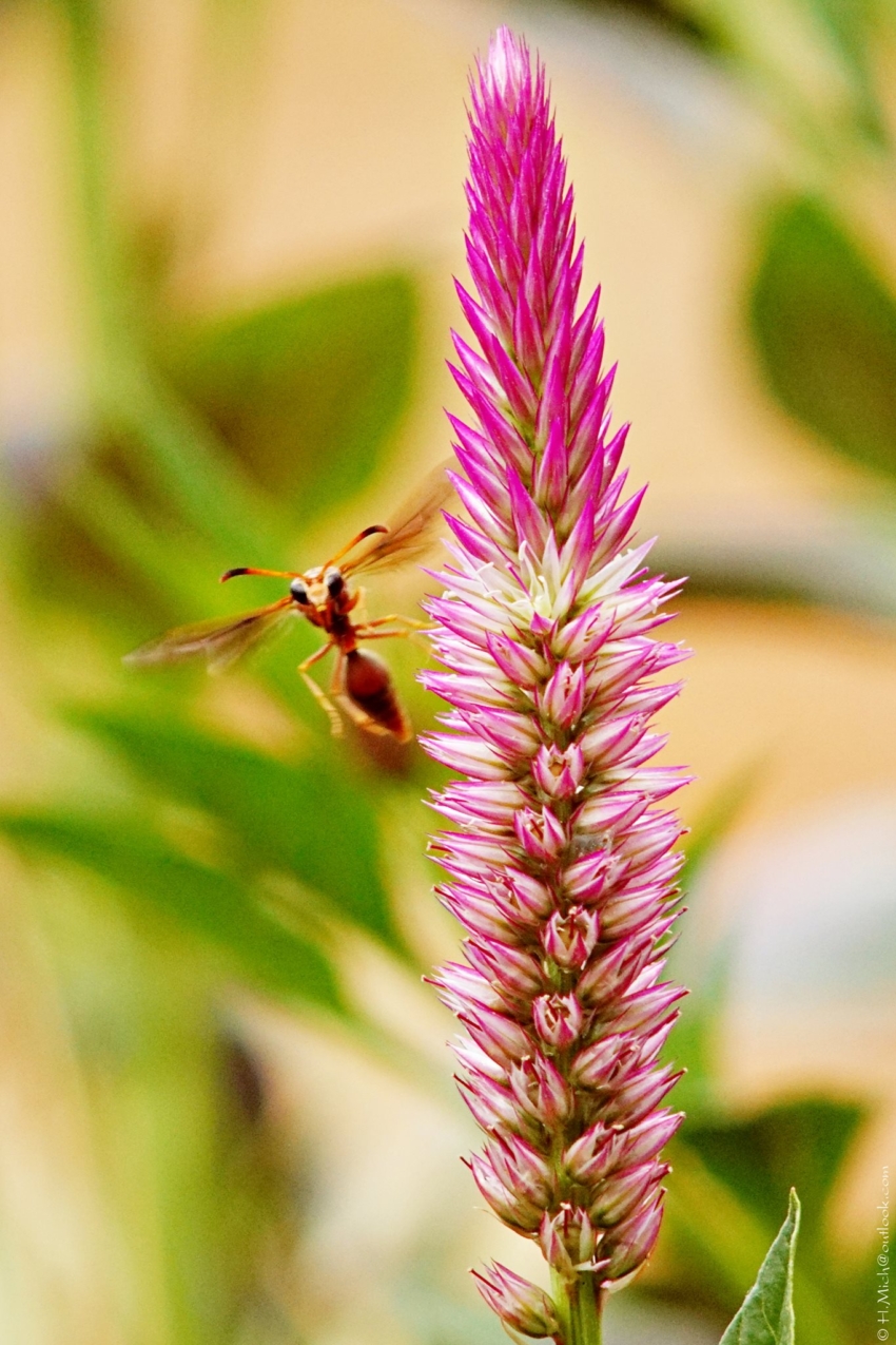 Studio-One.Art.br Repo Fotografia em Rio Preto SP/Brasil