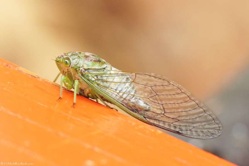 Studio-One.Art.br Repo Fotografia em Rio Preto SP/Brasil
