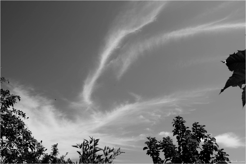 Studio-One.Art.br Repo Fotografia em Rio Preto SP/Brasil