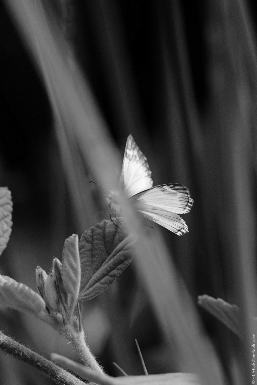 Studio-One.Art.br Repo Fotografia em Rio Preto SP/Brasil