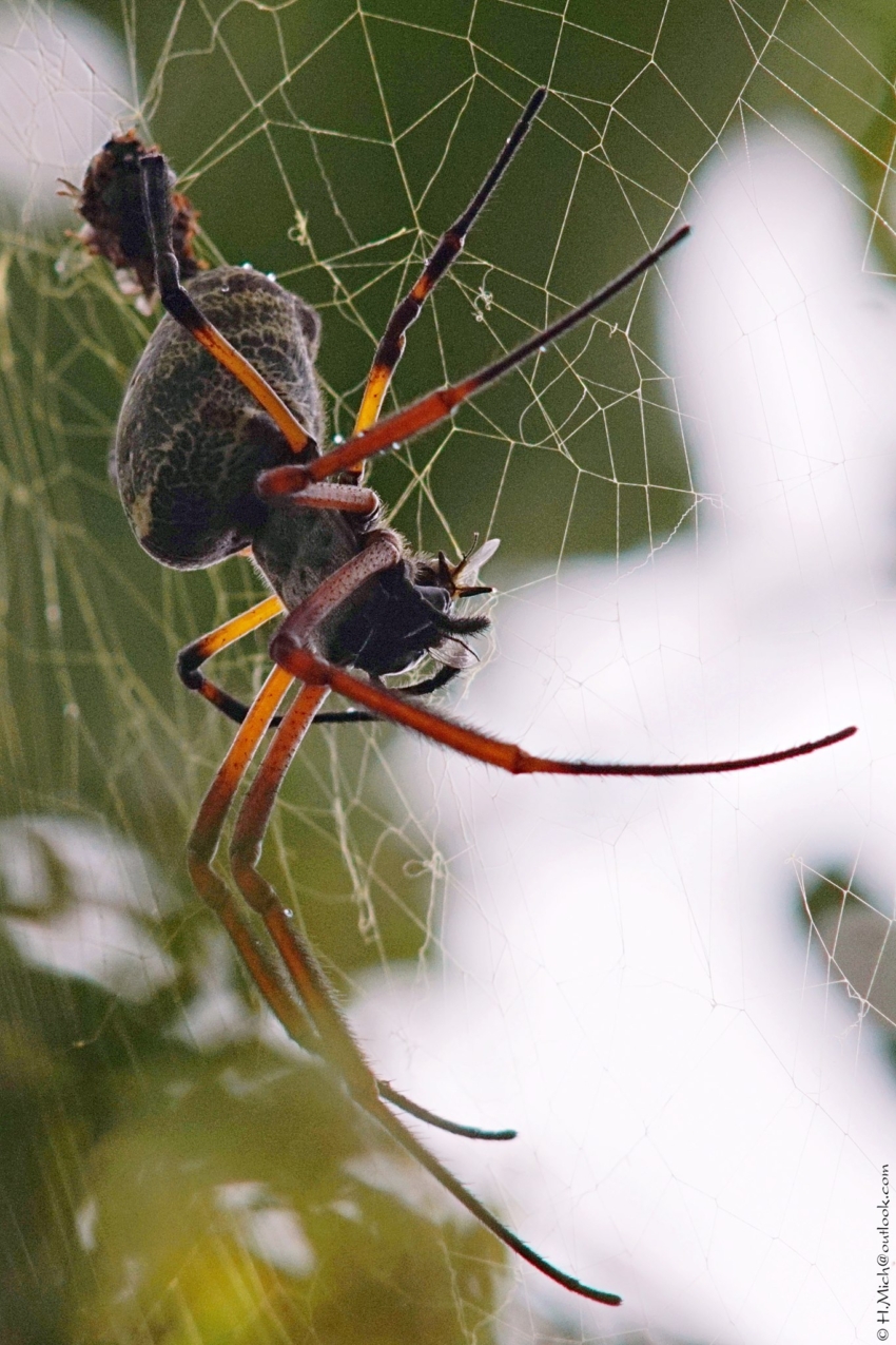 Studio-One.Art.br Repo Fotografia em Rio Preto SP/Brasil