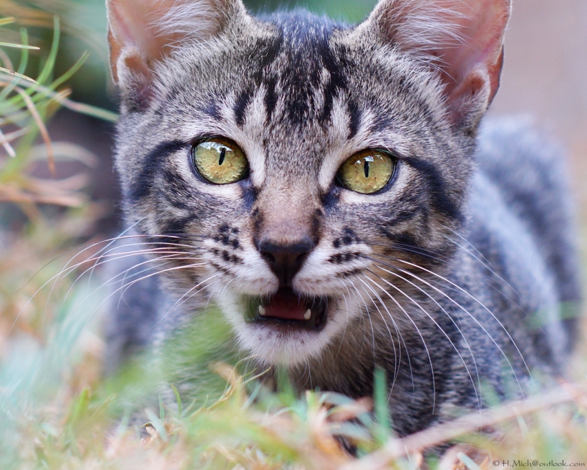 Studio-One.Art.br Repo Fotografia em Rio Preto SP/Brasil