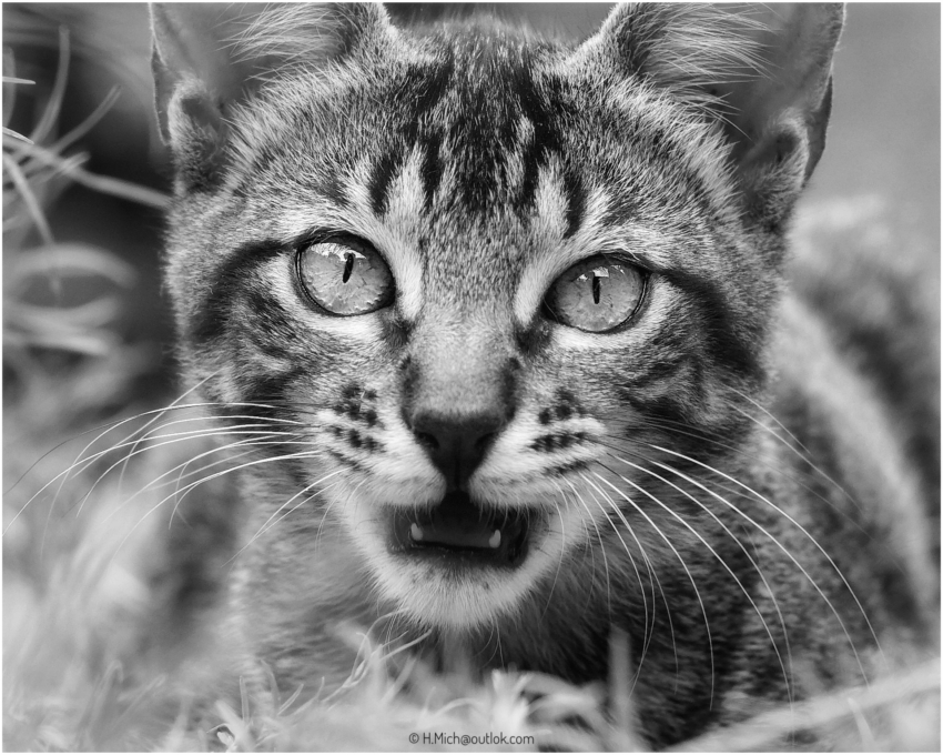 Studio-One.Art.br Repo Fotografia em Rio Preto SP/Brasil