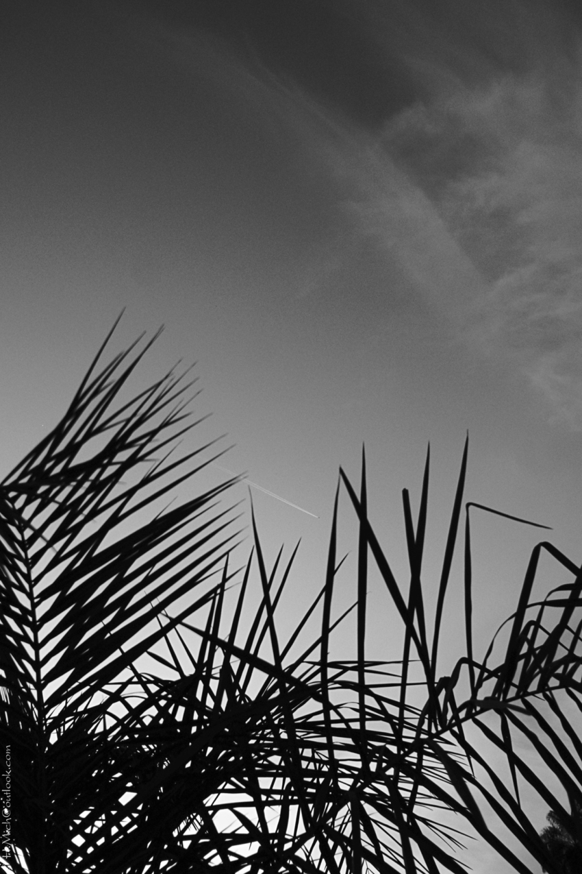 Studio-One.Art.br Repo Fotografia em Rio Preto SP/Brasil