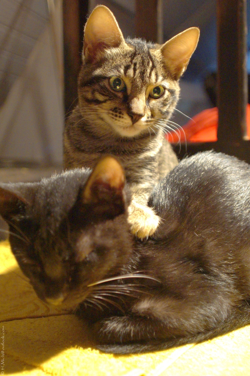 Studio-One.Art.br Repo Fotografia em Rio Preto SP/Brasil