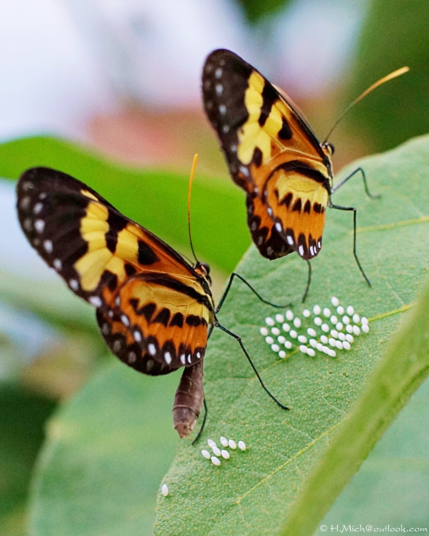 Studio-One.Art.br Repo Fotografia em Rio Preto SP/Brasil