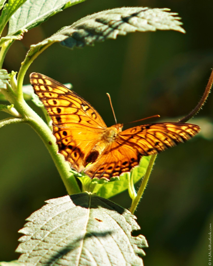 Studio-One.Art.br Repo Fotografia em Rio Preto SP/Brasil