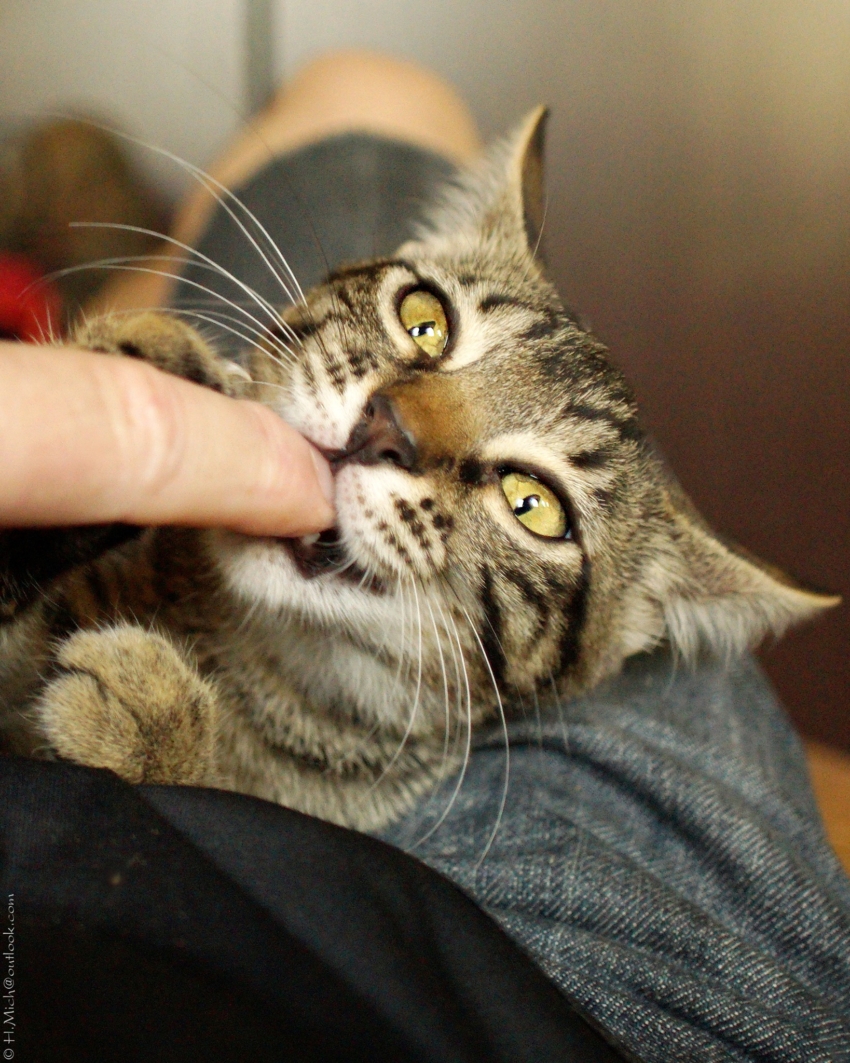 Studio-One.Art.br Repo Fotografia em Rio Preto SP/Brasil