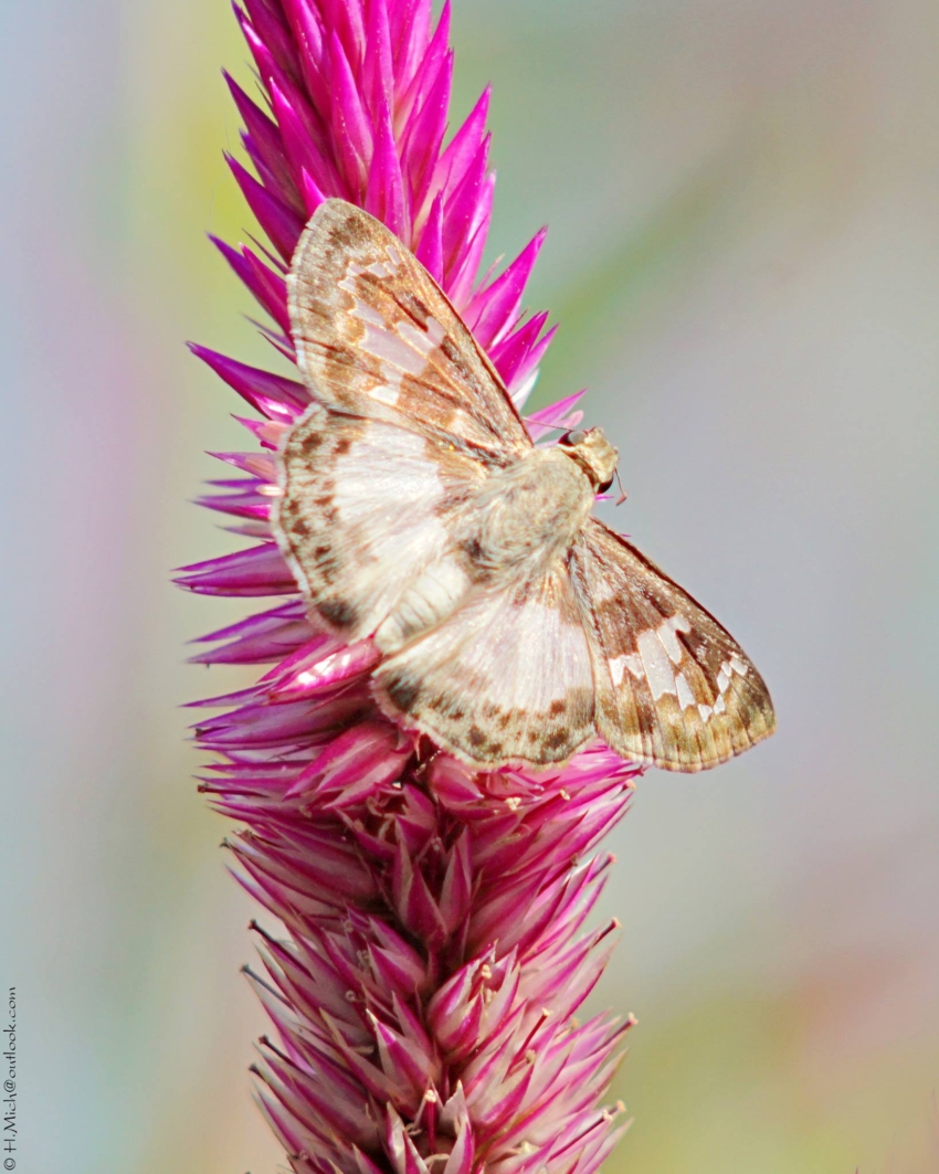 Studio-One.Art.br Repo Fotografia em Rio Preto SP/Brasil
