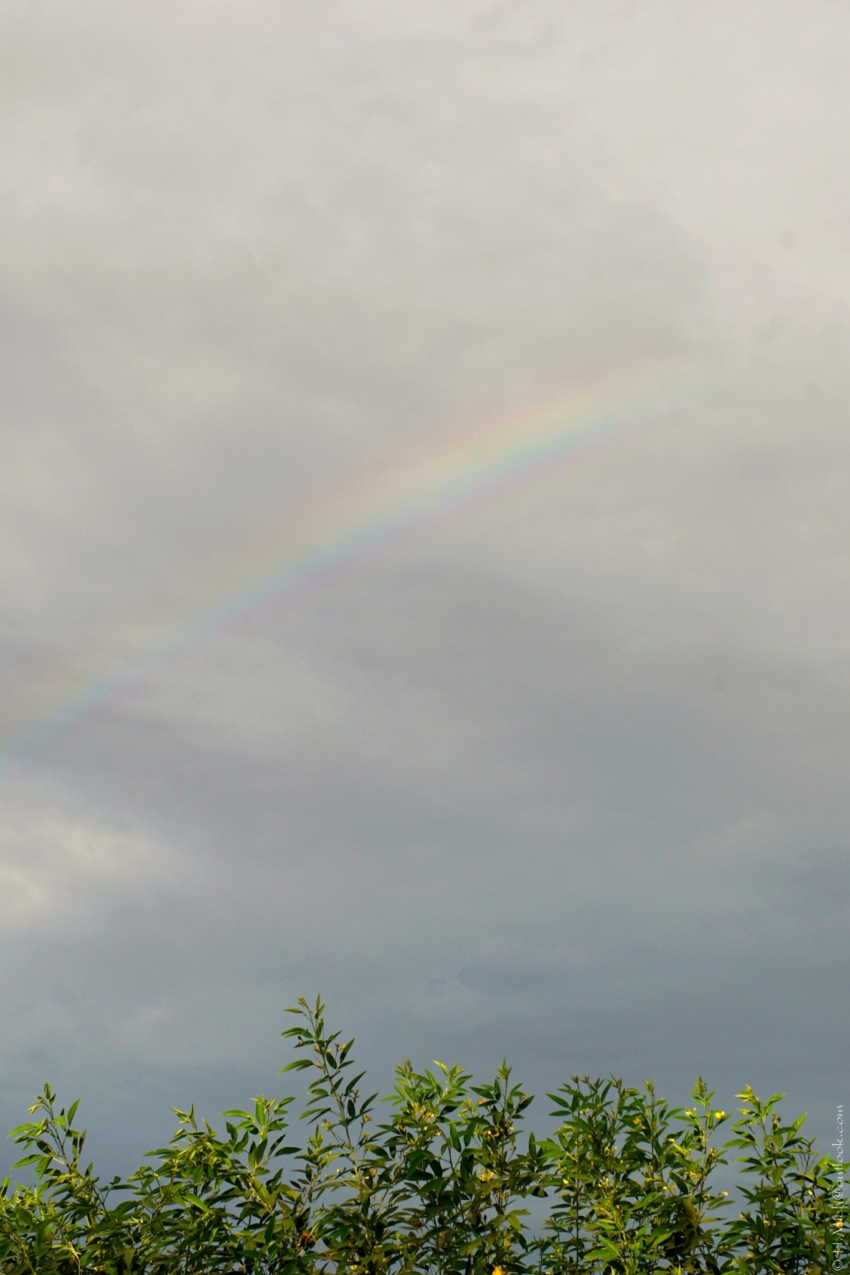 Studio-One.Art.br Repo Fotografia em Rio Preto SP/Brasil