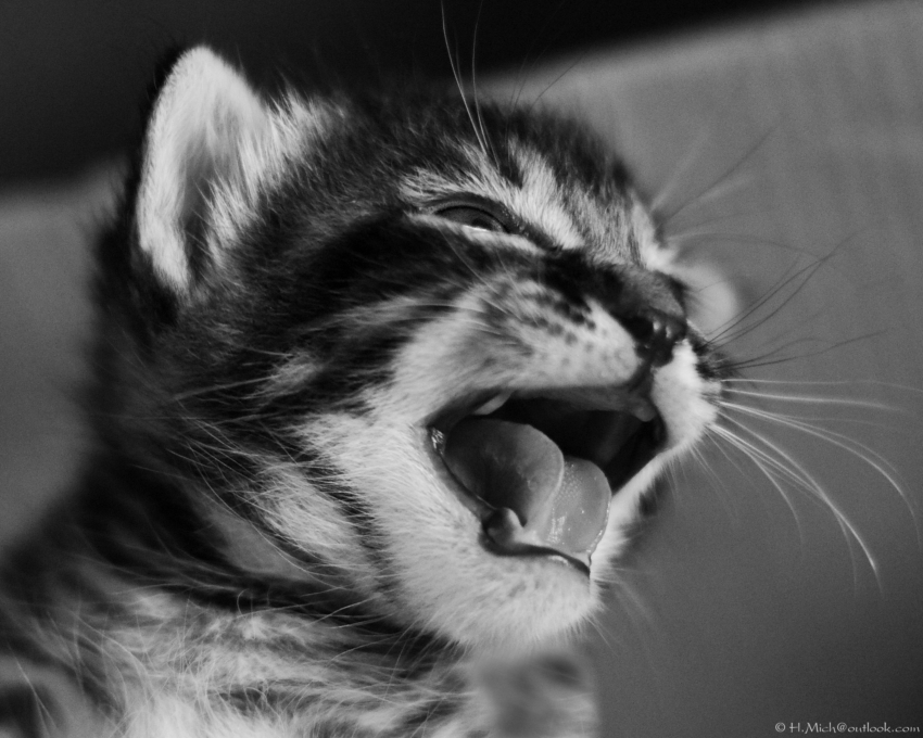 Studio-One.Art.br Repo Fotografia em Rio Preto SP/Brasil