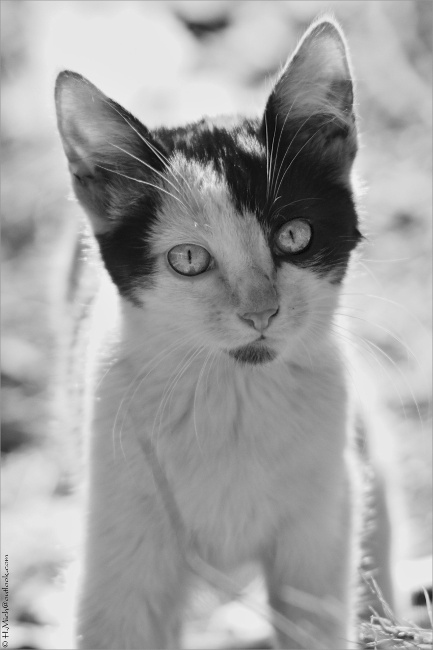 Studio-One.Art.br Repo Fotografia em Rio Preto SP/Brasil