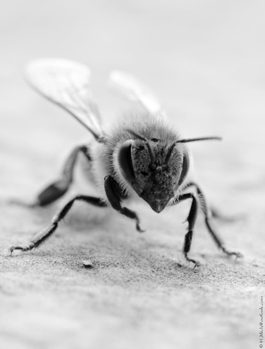 Studio-One.Art.br Repo Fotografia em Rio Preto SP/Brasil