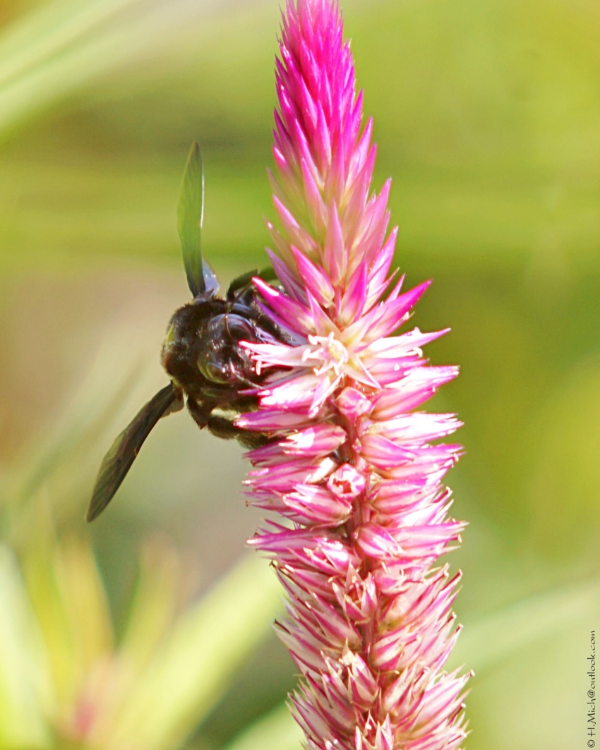 Studio-One.Art.br Repo Fotografia em Rio Preto SP/Brasil