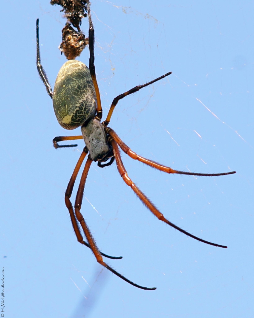 Studio-One.Art.br Repo Fotografia em Rio Preto SP/Brasil