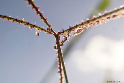 2022 06 16(132)