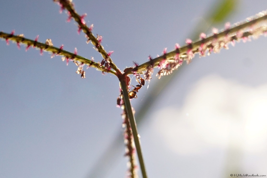 Studio-One.Art.br Repo Fotografia em Rio Preto SP/Brasil