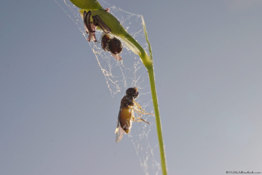 Studio-One.Art.br Repo Fotografia em Rio Preto SP/Brasil