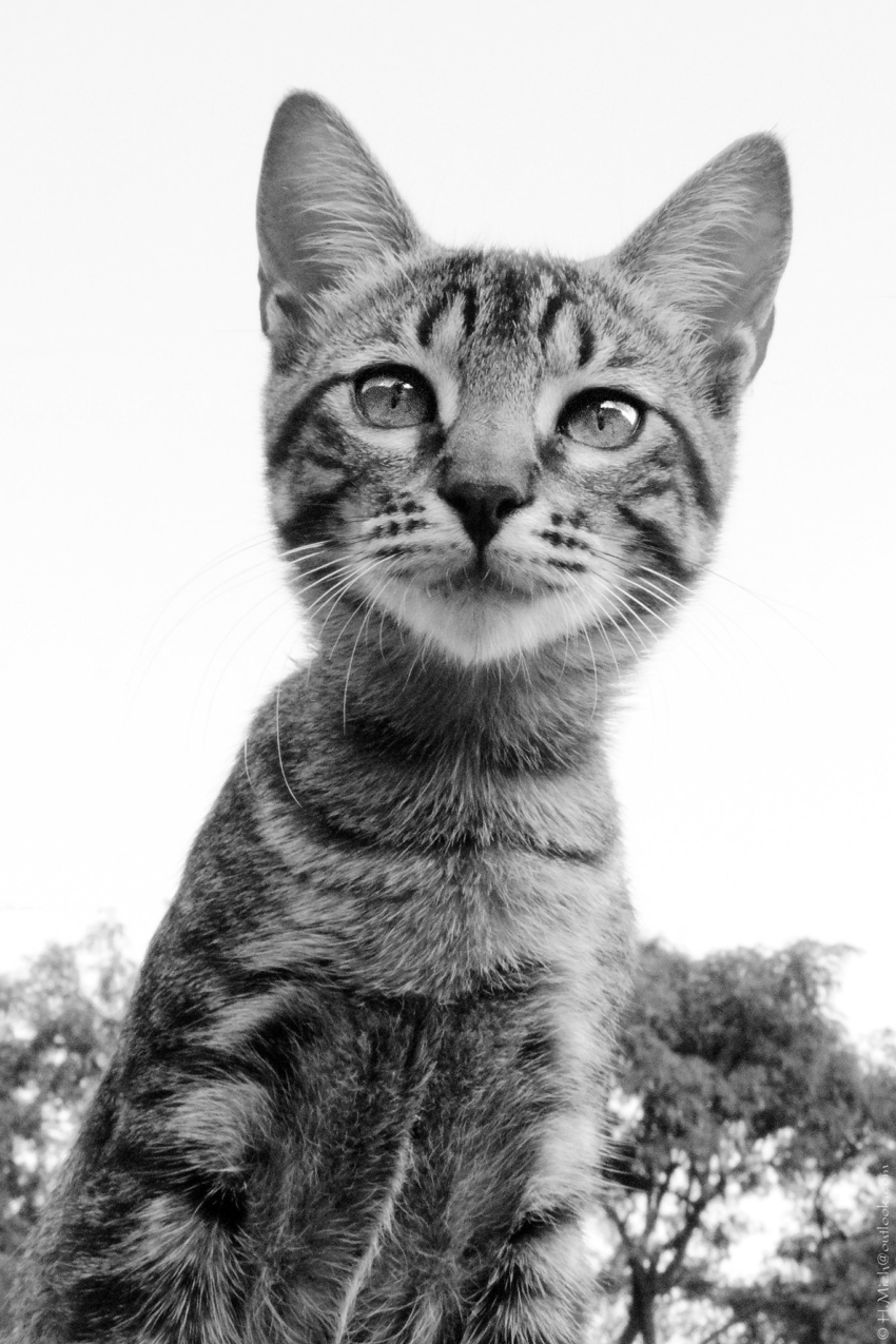 Studio-One.Art.br Repo Fotografia em Rio Preto SP/Brasil