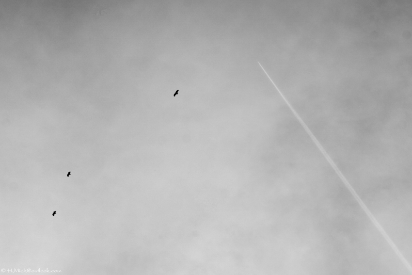 Studio-One.Art.br Repo Fotografia em Rio Preto SP/Brasil