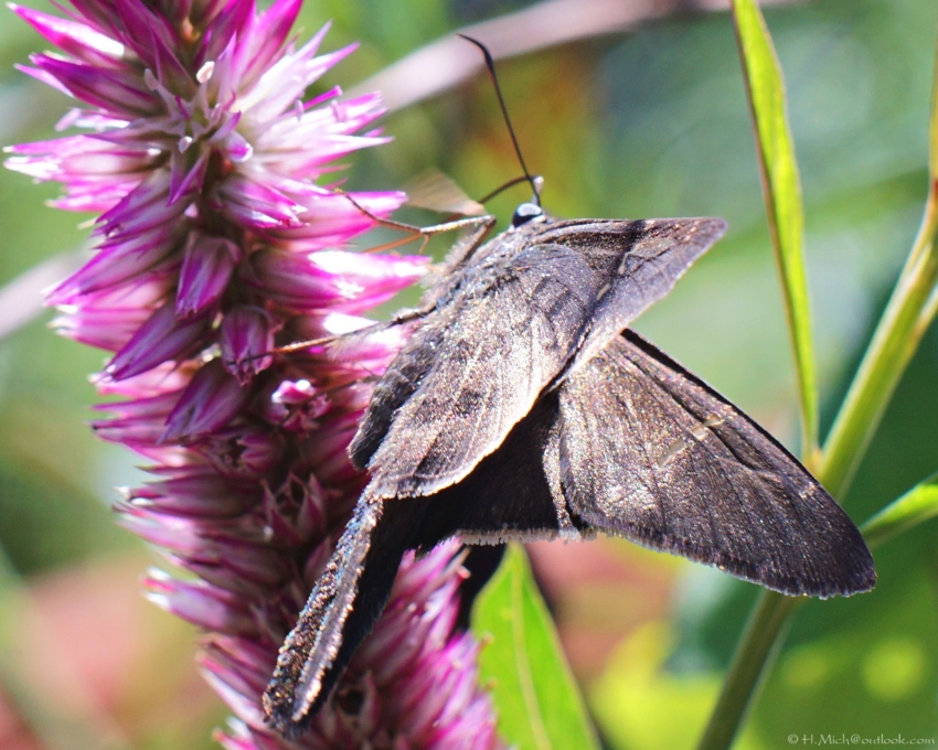 Studio-One.Art.br Repo Fotografia em Rio Preto SP/Brasil