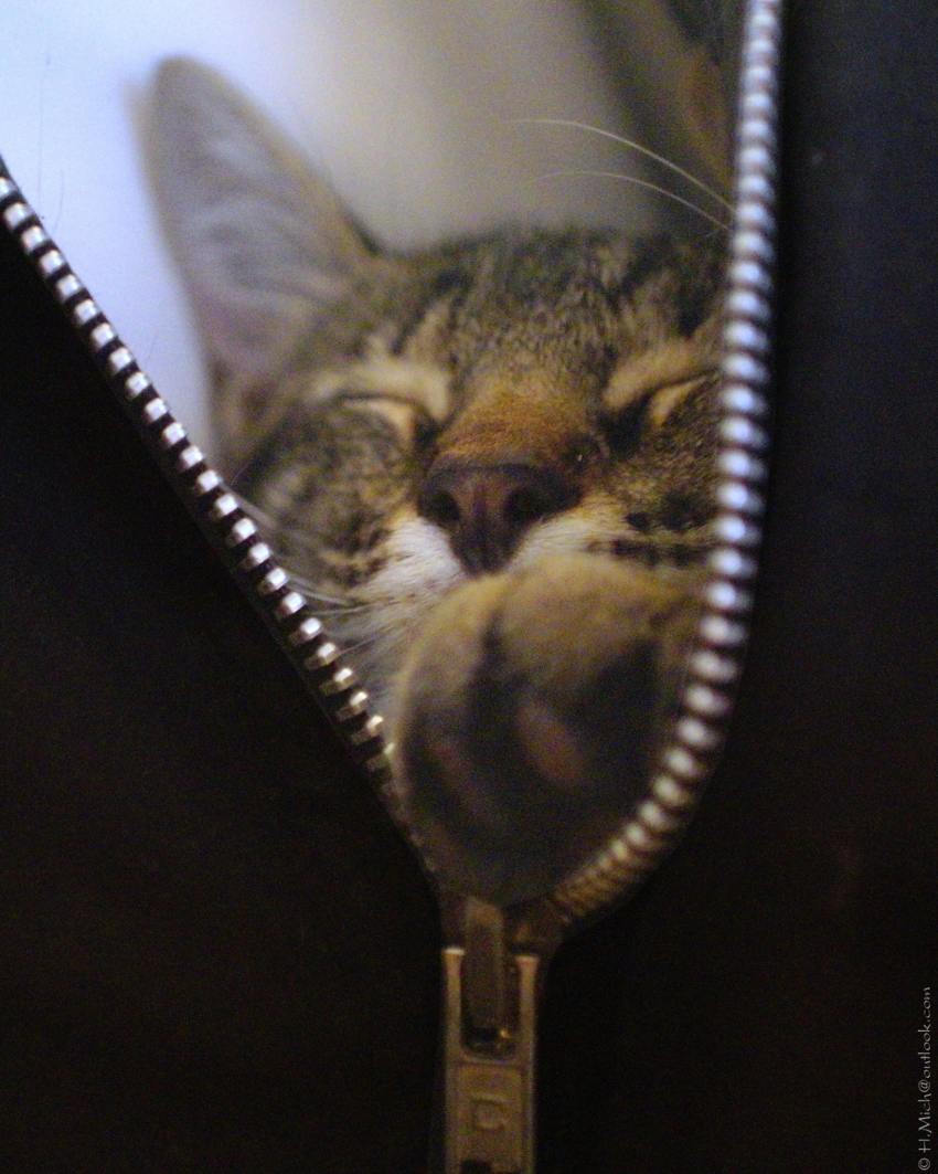 Studio-One.Art.br Repo Fotografia em Rio Preto SP/Brasil