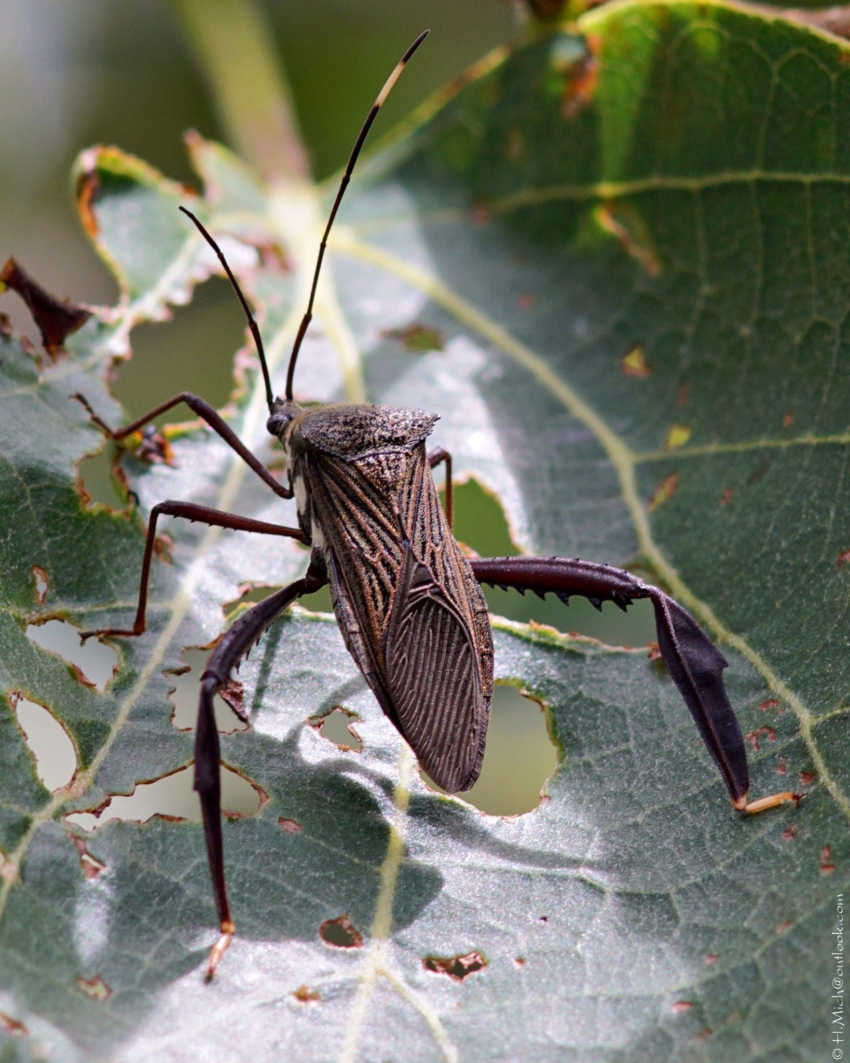 Studio-One.Art.br Repo Fotografia em Rio Preto SP/Brasil