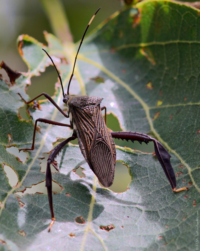 Studio-One.Art.br Repo Fotografia em Rio Preto SP/Brasil