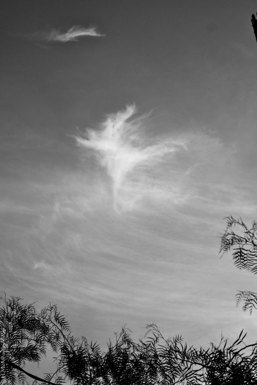 Studio-One.Art.br Repo Fotografia em Rio Preto SP/Brasil