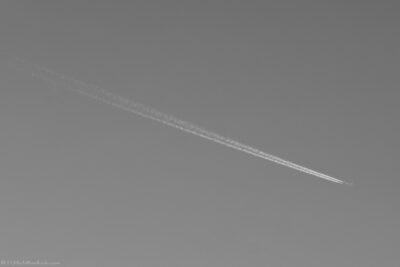 2022 06 16(136)