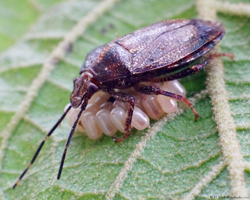 Studio-One.Art.br Repo Fotografia em Rio Preto SP/Brasil