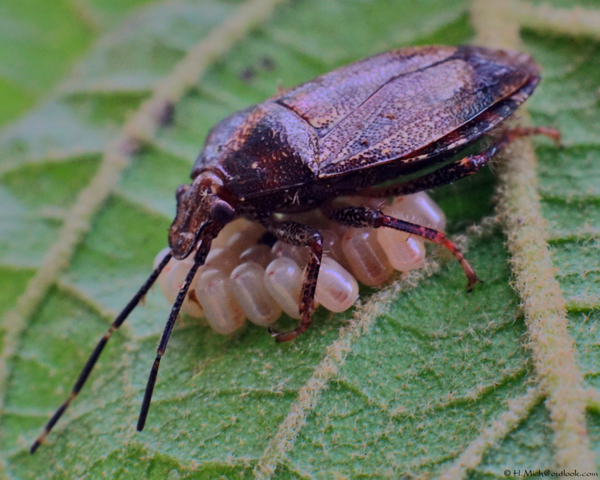 Studio-One.Art.br Repo Fotografia em Rio Preto SP/Brasil