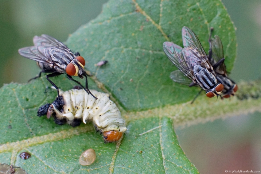 Studio-One.Art.br Repo Fotografia em Rio Preto SP/Brasil