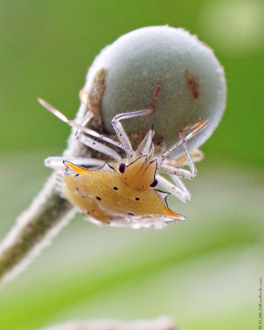 Studio-One.Art.br Repo Fotografia em Rio Preto SP/Brasil