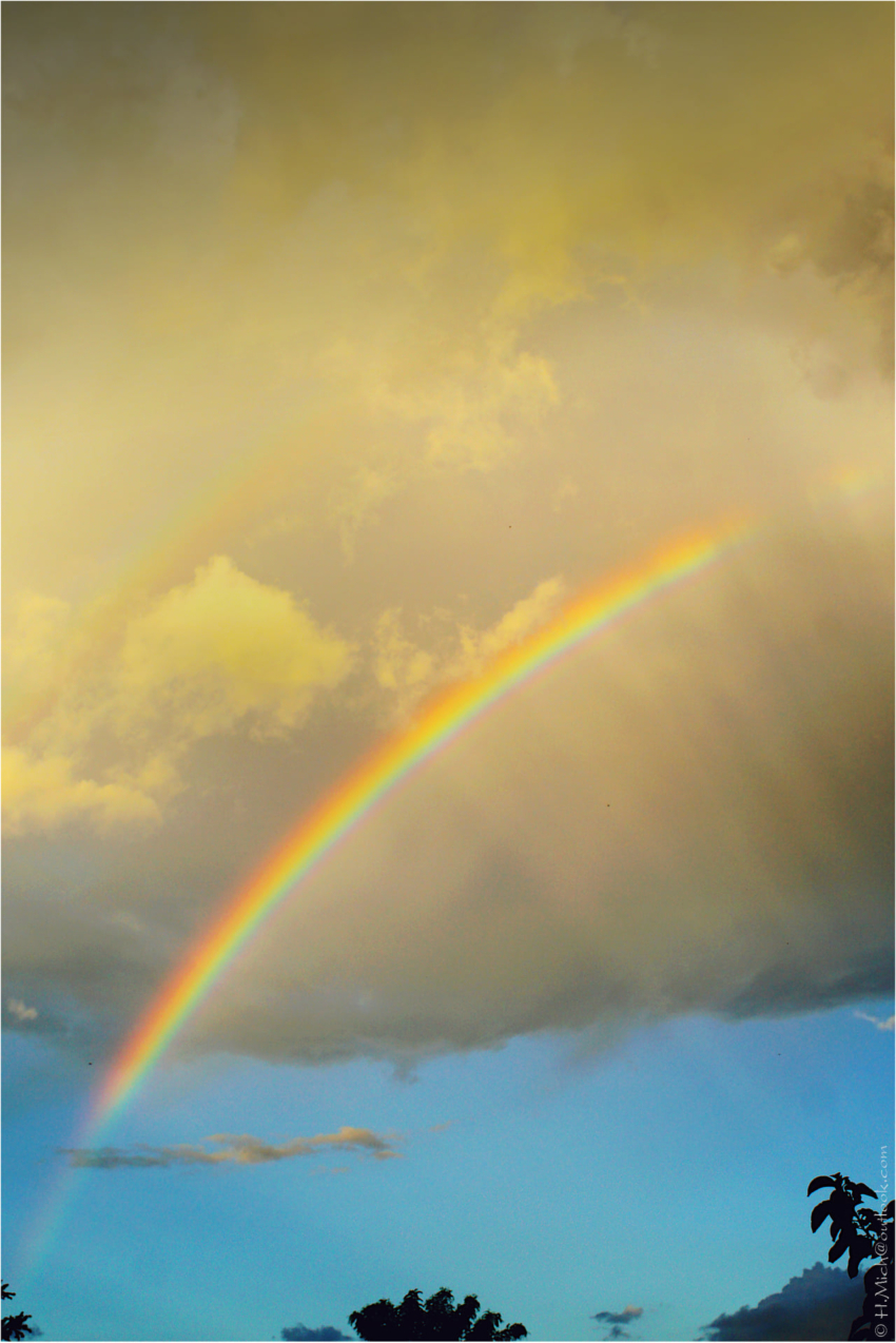 Studio-One.Art.br Repo Fotografia em Rio Preto SP/Brasil