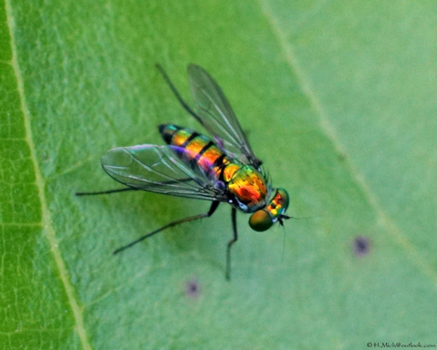 Studio-One.Art.br Repo Fotografia em Rio Preto SP/Brasil