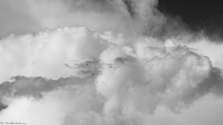 Studio-One.Art.br Repo Fotografia em Rio Preto SP/Brasil