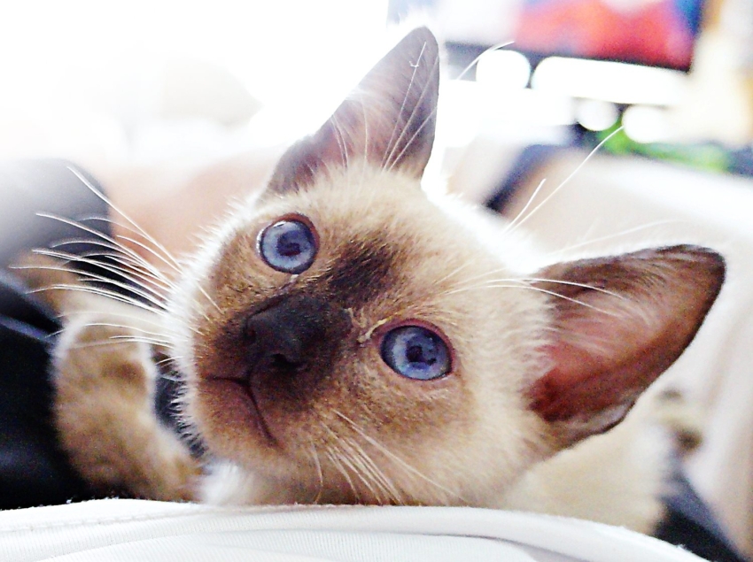 Studio-One.Art.br Repo Fotografia em Rio Preto SP/Brasil