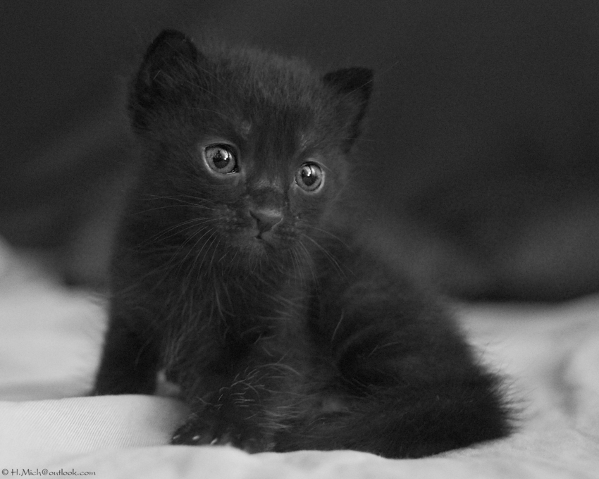 Studio-One.Art.br Repo Fotografia em Rio Preto SP/Brasil