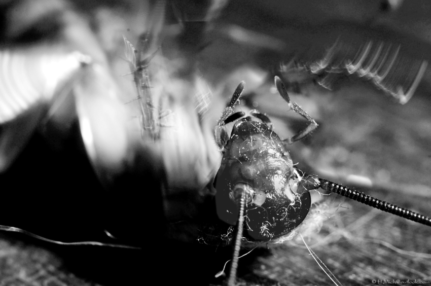 Studio-One.Art.br Repo Fotografia em Rio Preto SP/Brasil