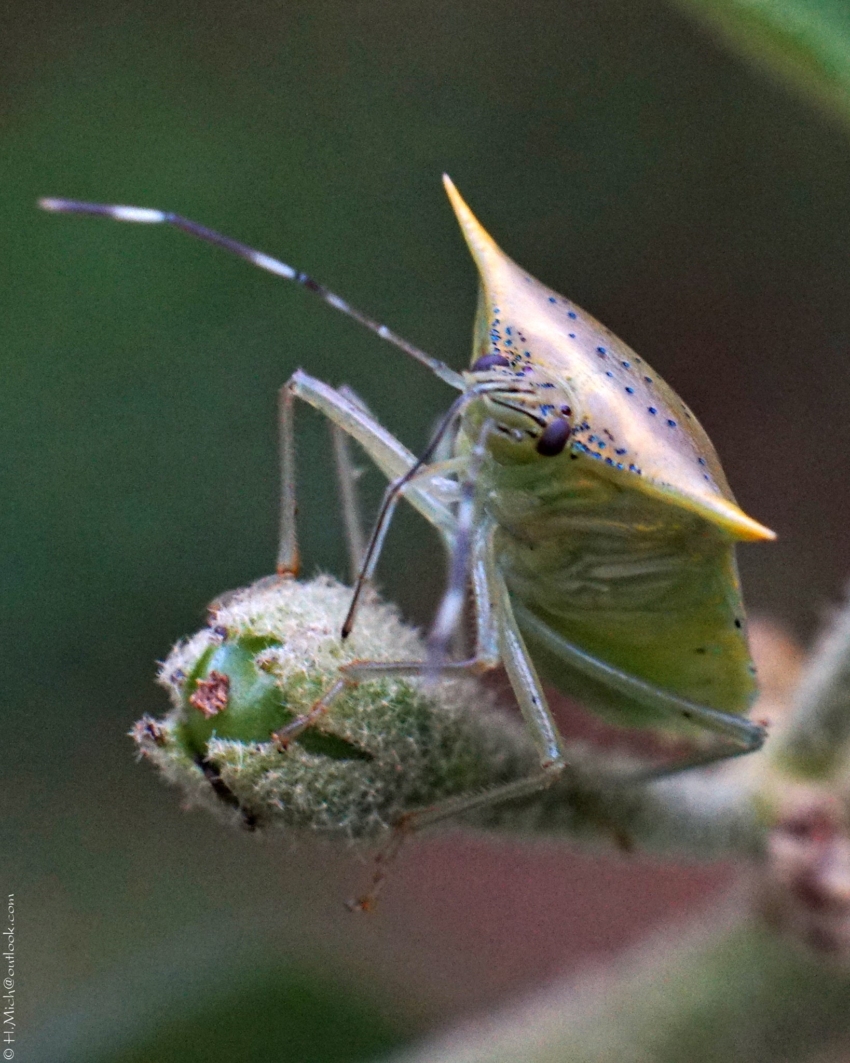 Studio-One.Art.br Repo Fotografia em Rio Preto SP/Brasil