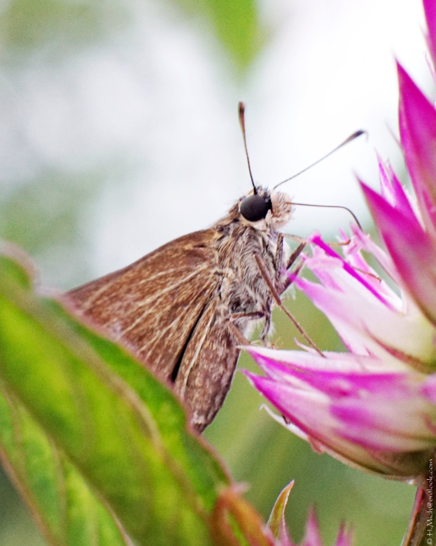 Studio-One.Art.br Repo Fotografia em Rio Preto SP/Brasil
