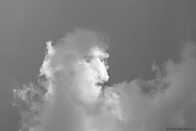 2022 06 16(143)