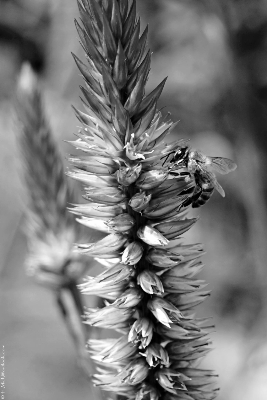 Studio-One.Art.br Repo Fotografia em Rio Preto SP/Brasil