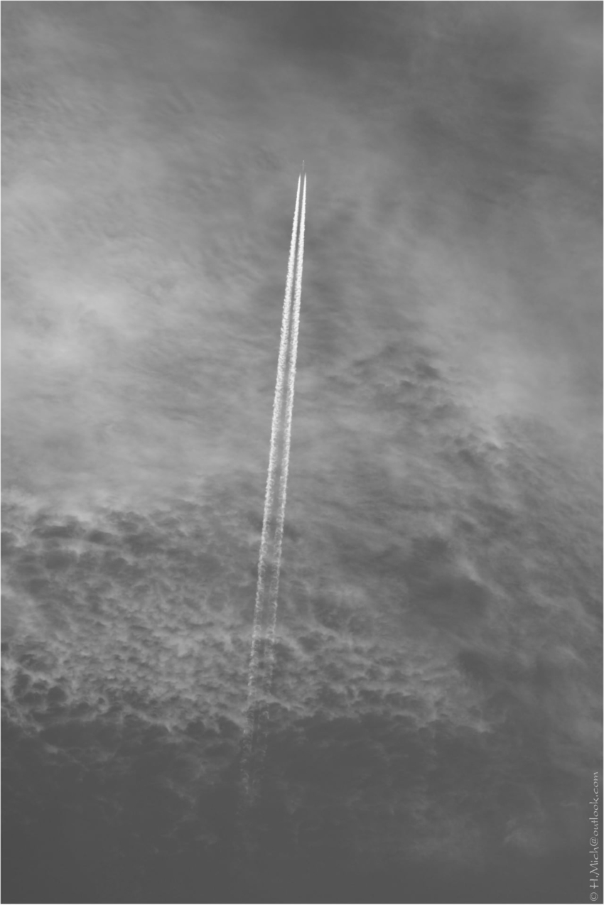 Studio-One.Art.br Repo Fotografia em Rio Preto SP/Brasil