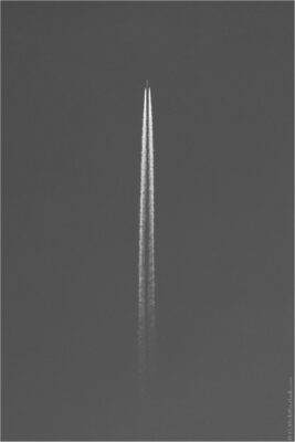 2022 06 16(145)